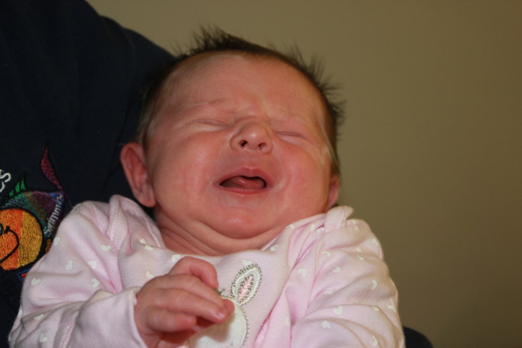 22410526963_7d38f79f5a_o