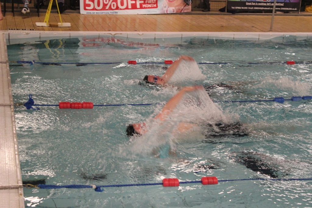 22434122254_dfa22f2501_o