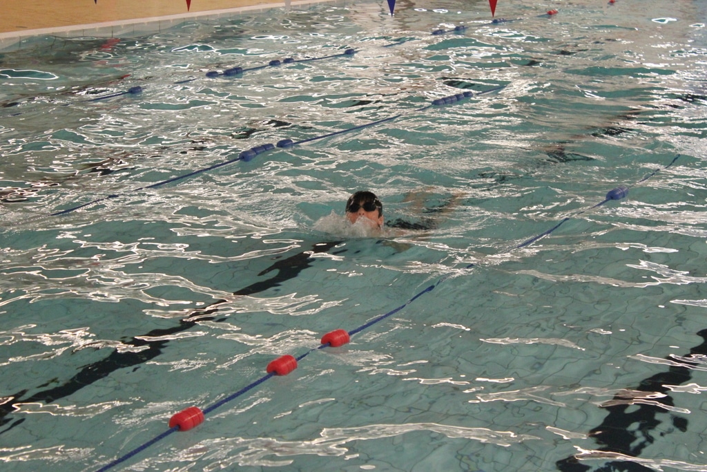 22434437284_b1a23cf30f_o