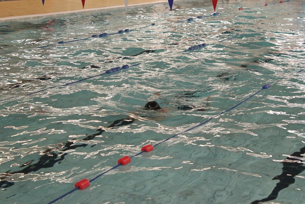 22434483144_3605854616_o