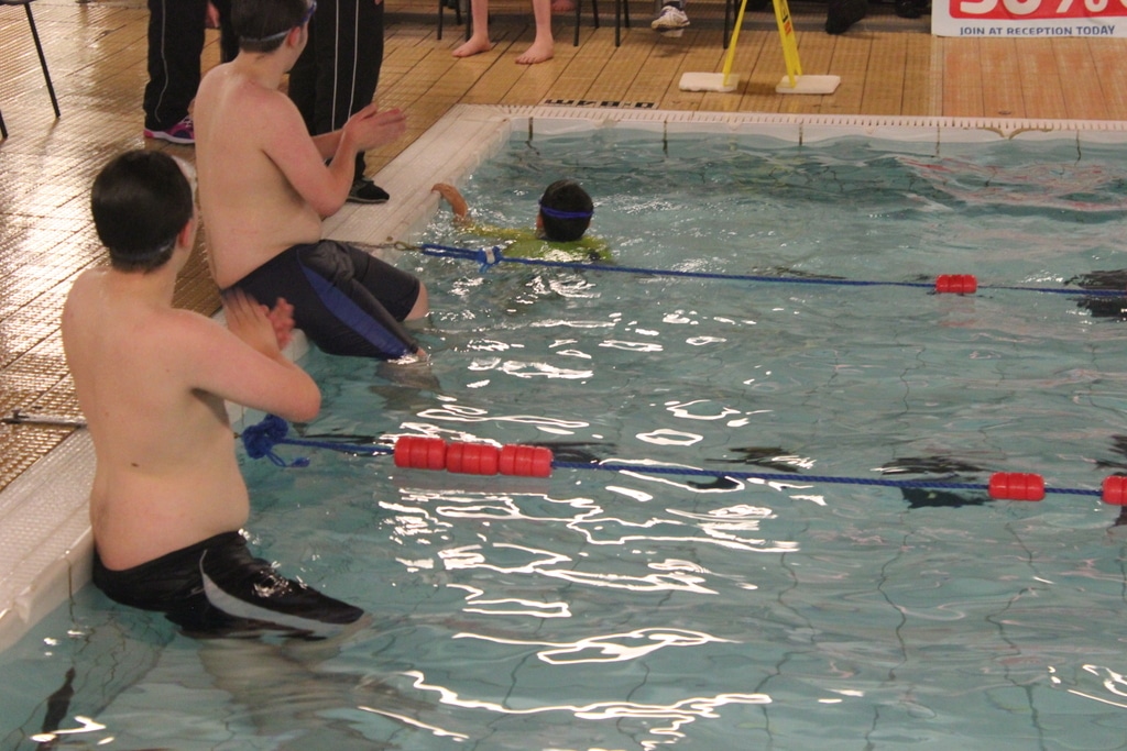 22435755583_91240cc4ef_o