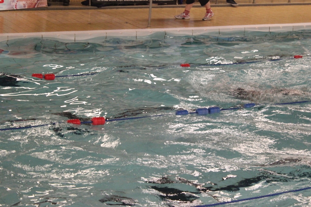 22436317163_01150fc789_o