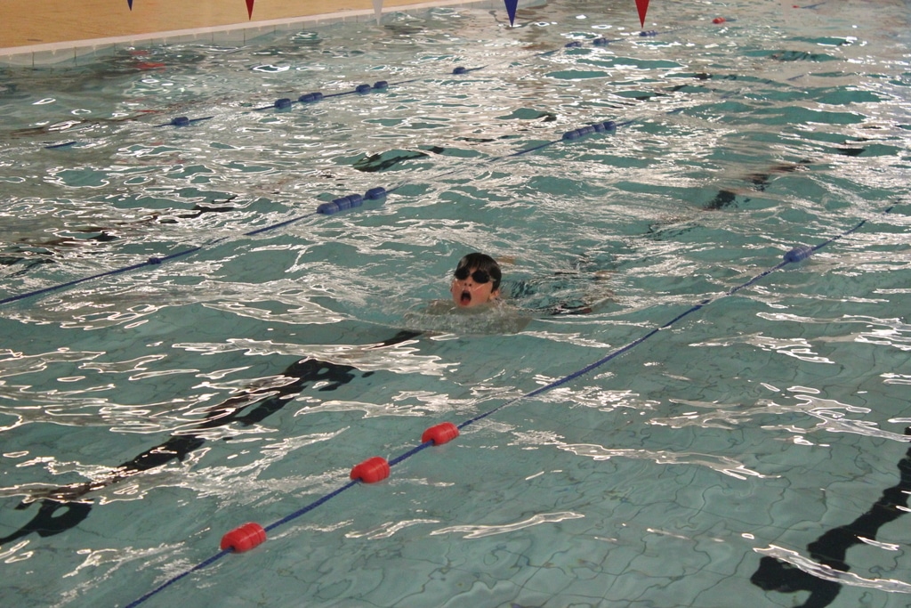 22437019893_dd2d88d5a0_o