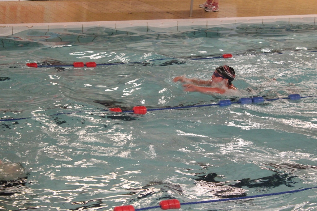 22639128398_06c5b449e2_o