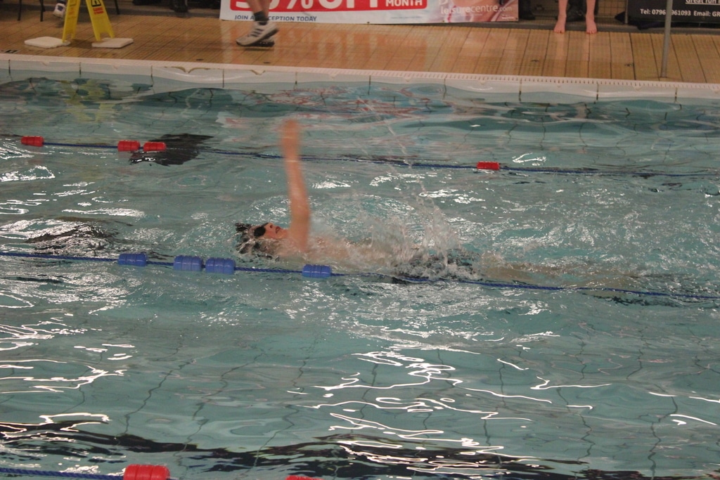 22639579117_93c84e4d47_o