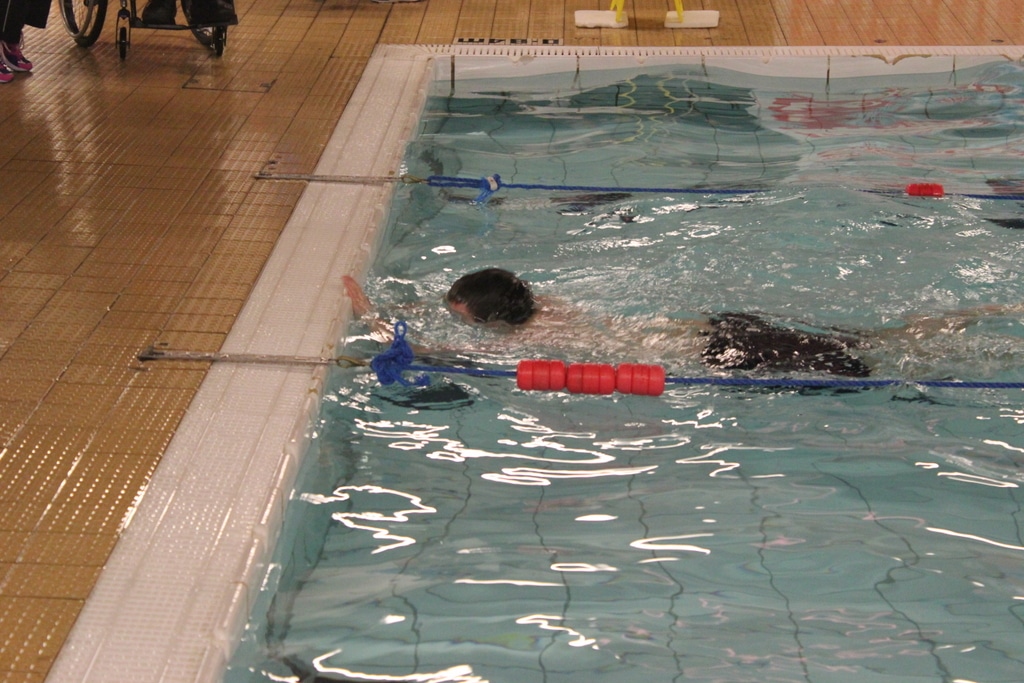 22664879009_4019cce2b1_o