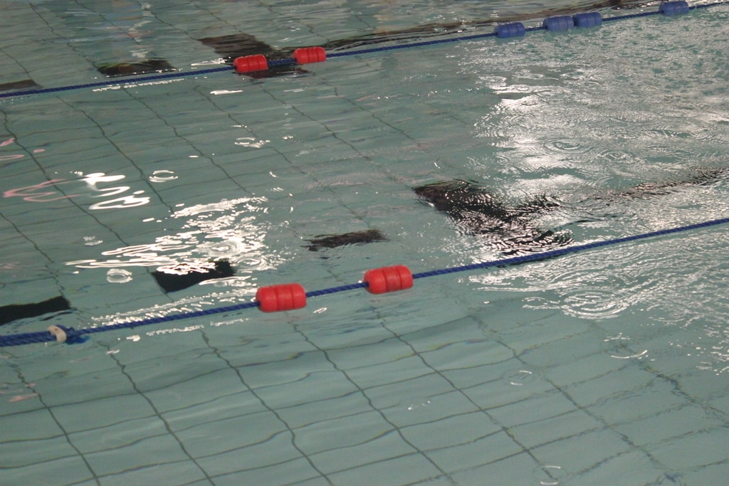 22665199249_492ee091c9_o