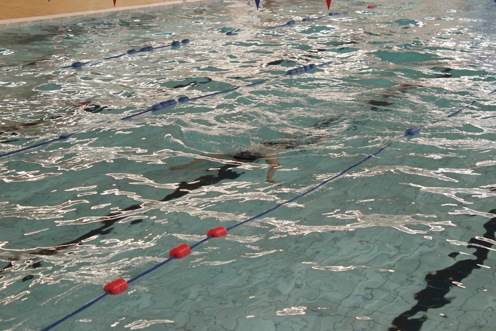 23031155266_f6ec9270b4_o