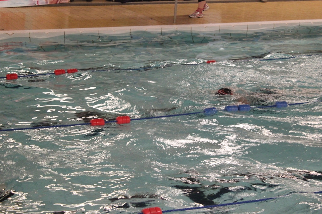 23031480396_8506597ca1_o