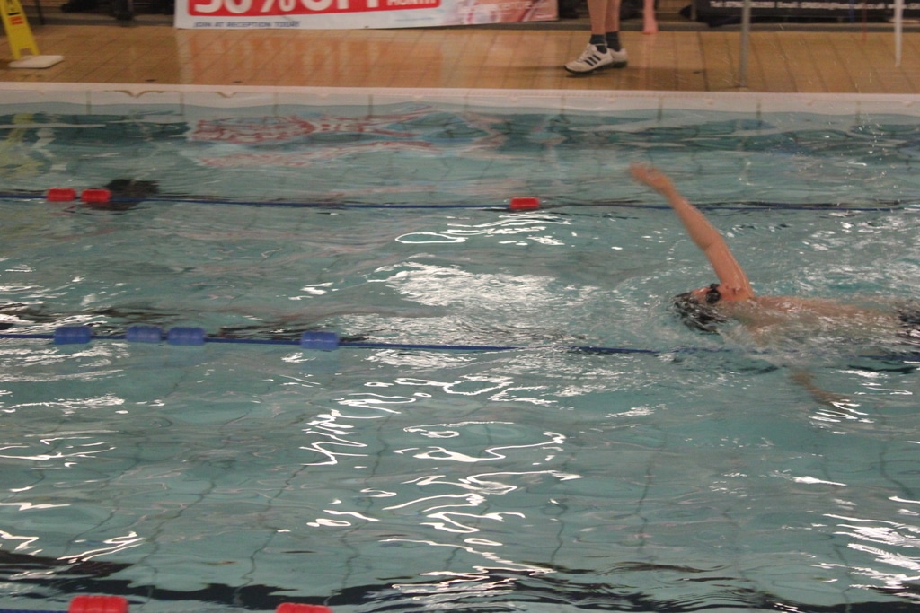 23031795276_170cb869da_o