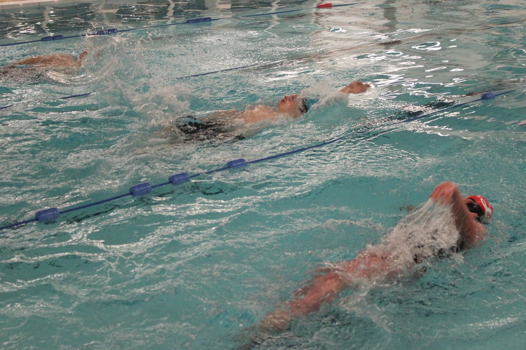 23032071686_5701bcebbe_o