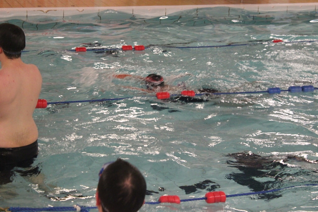 23044035572_f0fa6ef914_o