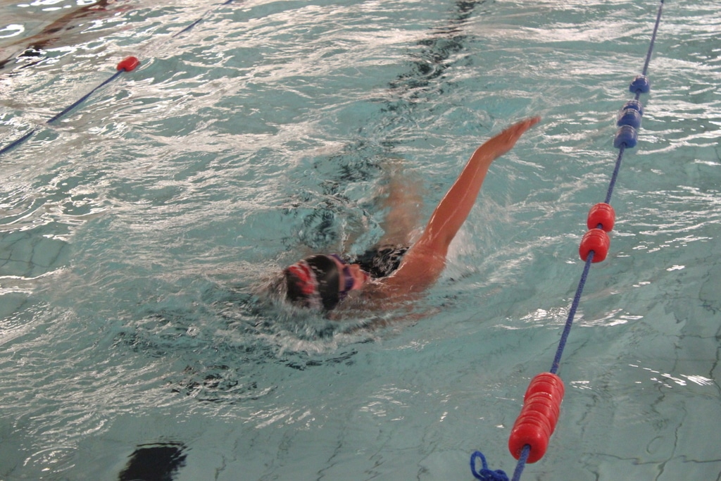 23057081295_0c58d481e0_o