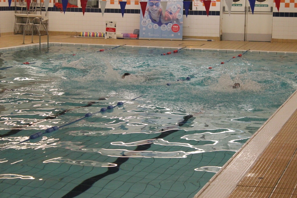 23057452675_716d207d03_o