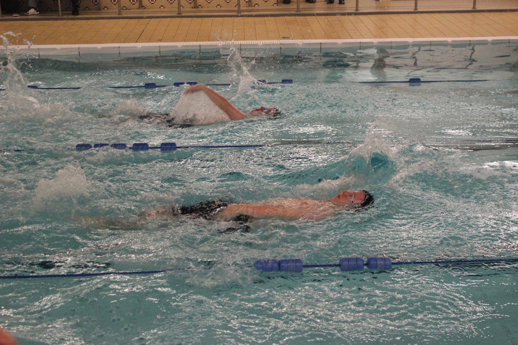 23058117785_460ebb972b_o