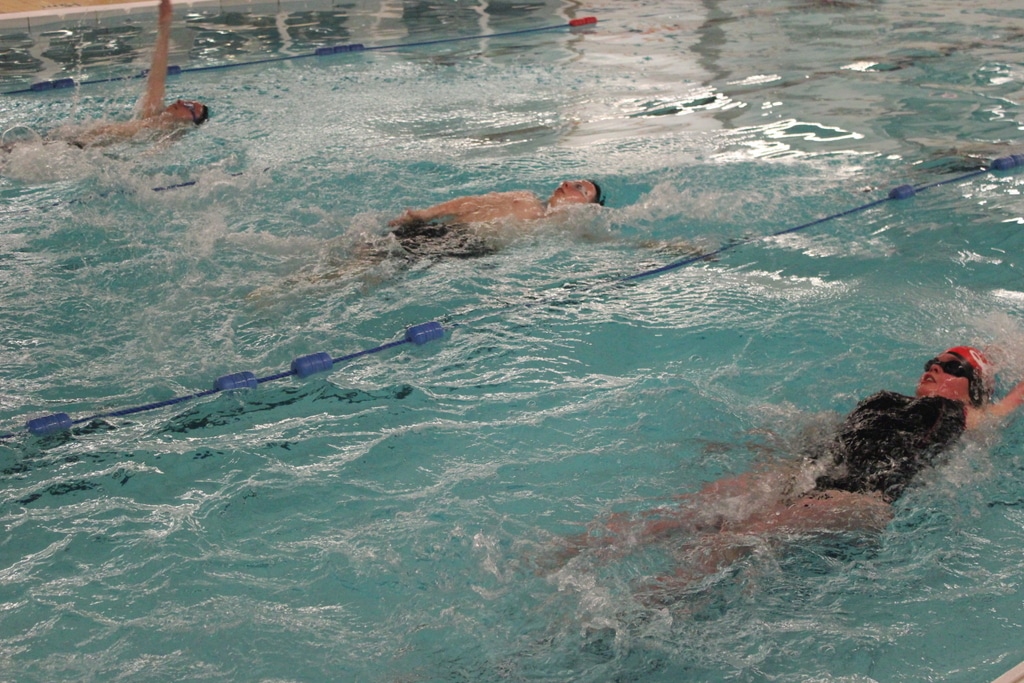 23058124435_9f1846d019_o