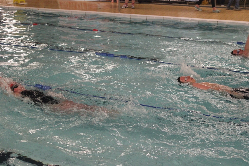 23058209905_18f126c05c_o